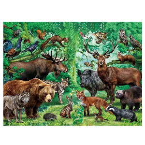 Puzzles for Kids Ages, Double Sided 100 Piece Puzzles, 2 in 1 Puzzle